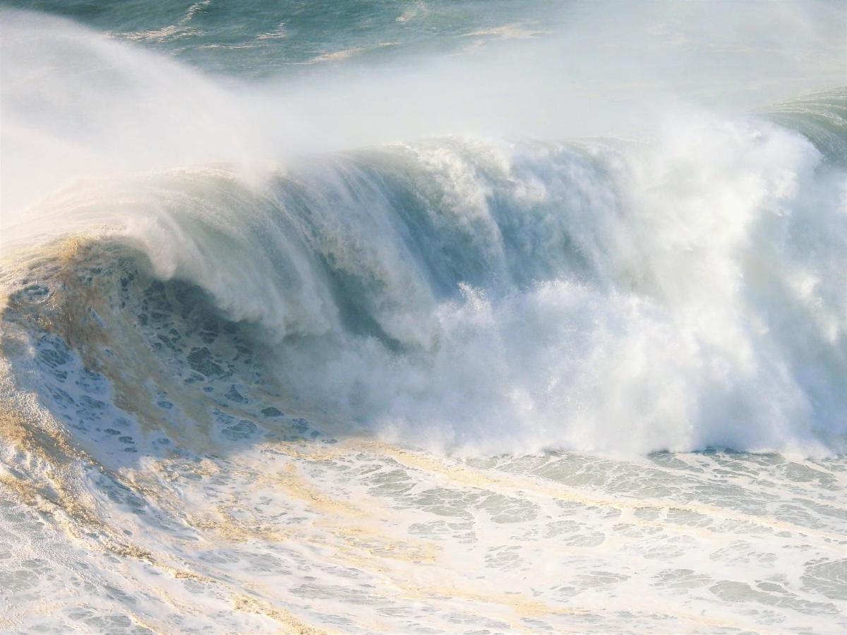 Appartement White Swell by Sítio  à Nazaré Extérieur photo